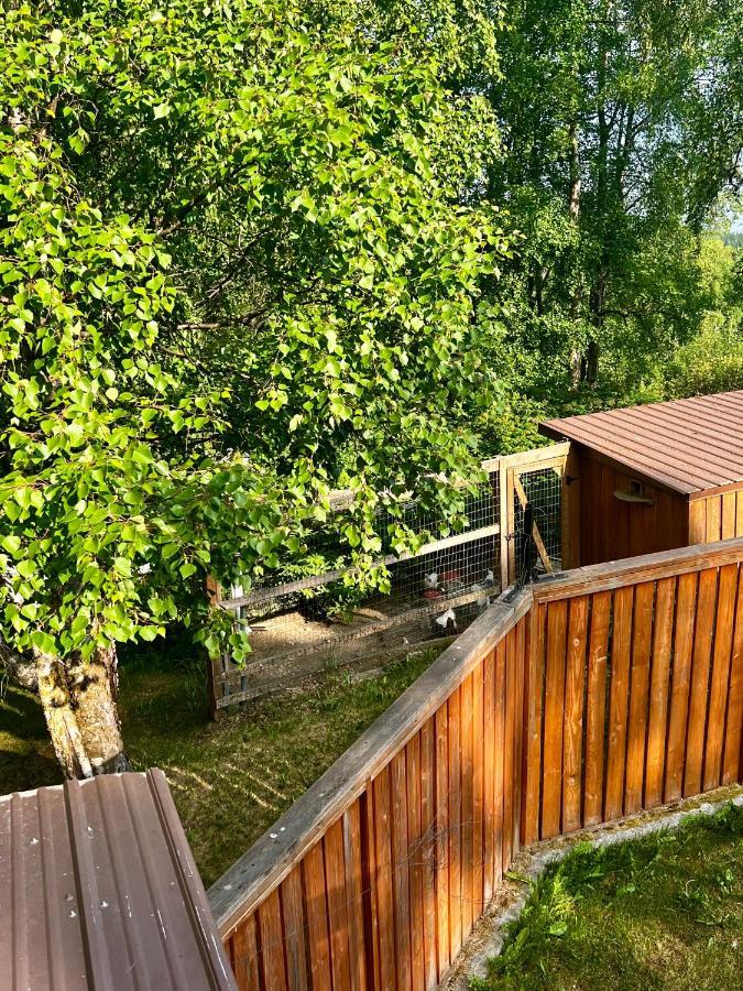 Indian Ak 25 Min To Anchorage & 25 Min To Girdwood 빌라 외부 사진
